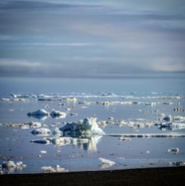 Sea ice (Barrow)